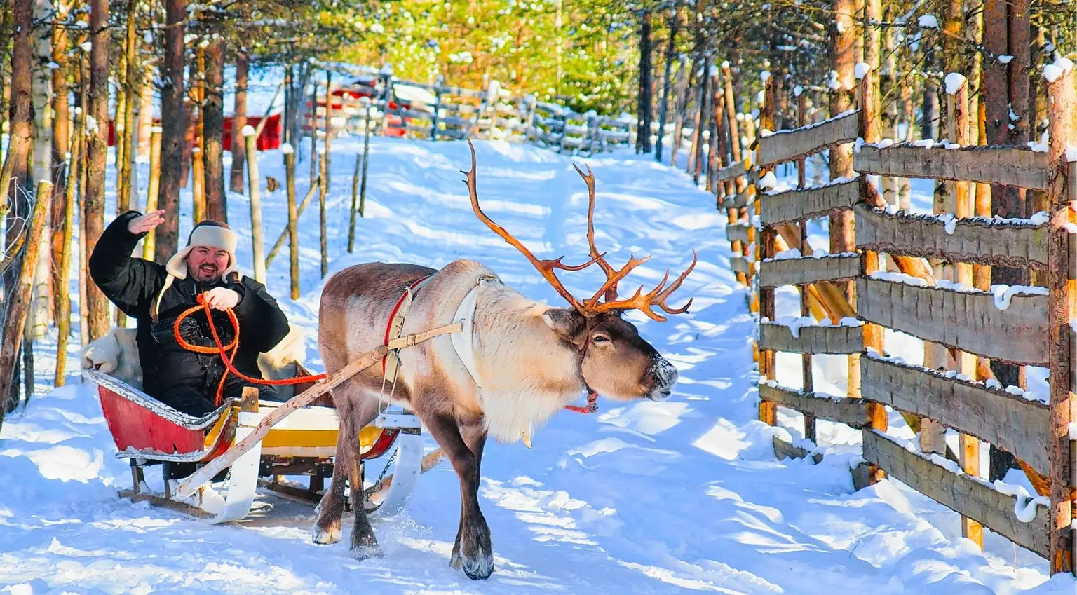 Christmas in Lapland: Rovaniemi, Santa, Snow and What to Book